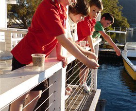 Dunbogan Boatshed - Accommodation Brunswick Heads 3