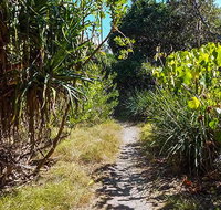 North Head walking track - Accommodation Brunswick Heads