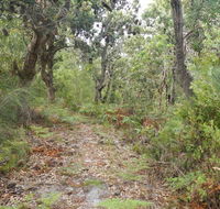 Kinchela Trig Lookout walk - Accommodation Brunswick Heads