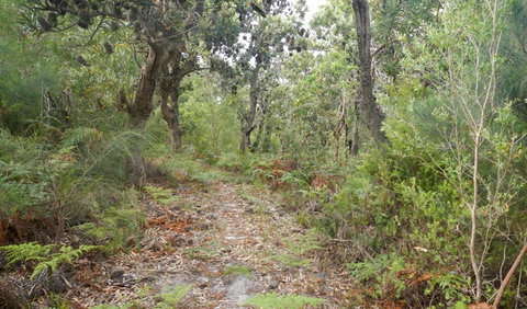 Kinchela Trig Lookout Walk - Accommodation Brunswick Heads 0