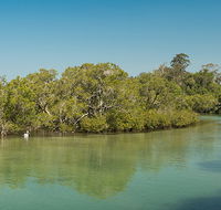 Tyagarah Nature Reserve - Accommodation Brunswick Heads