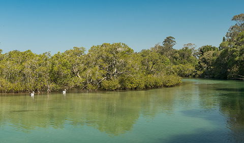 Tyagarah Nature Reserve - Accommodation Brunswick Heads 0