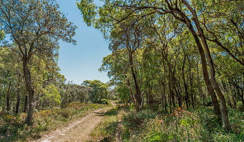 Tyagarah Nature Reserve - Accommodation Brunswick Heads 2