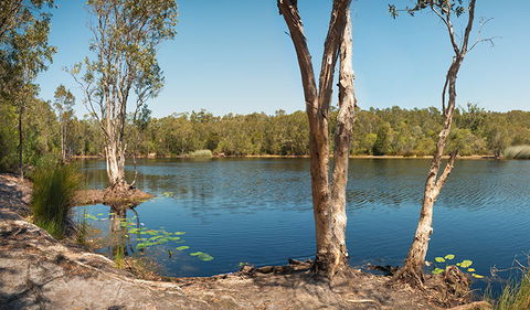 Tyagarah Nature Reserve - Accommodation Brunswick Heads 3