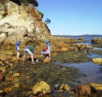 Sapphire Coast Marine Discovery Centre - Accommodation Brunswick Heads