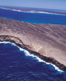 Zuytdorp Cliffs - Accommodation Brunswick Heads 1