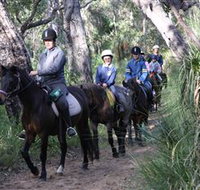 Mirravale Horse Riding School - Accommodation Brunswick Heads