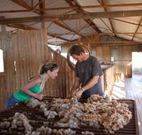 Peron Homestead - Accommodation Brunswick Heads