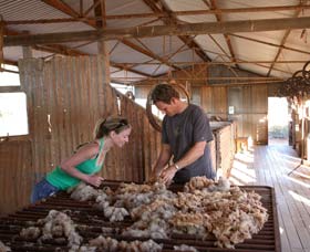 Peron Homestead - Accommodation Brunswick Heads 0