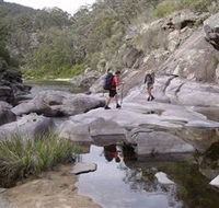 Nadgee Wilderness Walk - Accommodation Brunswick Heads