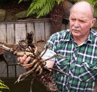 Lobster Ponds - Accommodation Brunswick Heads