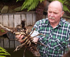 Lobster Ponds - Accommodation Brunswick Heads 0