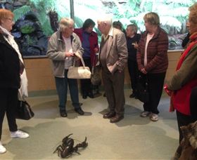 Lobster Ponds - Accommodation Brunswick Heads 1