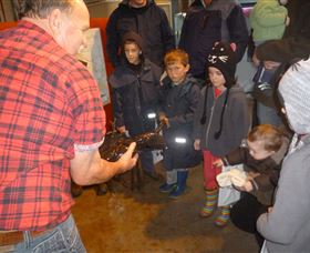 Lobster Ponds - Accommodation Brunswick Heads 3
