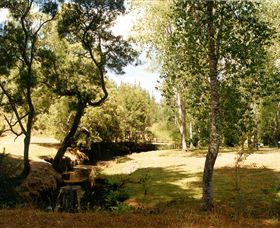 Oldina Picnic Area - Accommodation Brunswick Heads 0