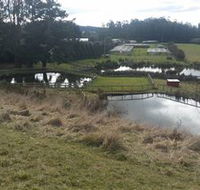 Guide Falls Farm - Accommodation Brunswick Heads