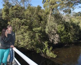Hellyer Gorge - Accommodation Brunswick Heads 0