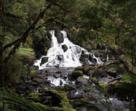 Hellyer Gorge - Accommodation Brunswick Heads 2