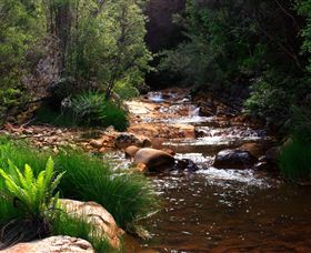 Hellyer Gorge - Accommodation Brunswick Heads 1