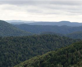 Whyte Hills Lookout - Accommodation Brunswick Heads 1