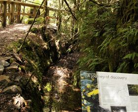Philosopher Falls - Accommodation Brunswick Heads 1