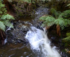 Philosopher Falls - Accommodation Brunswick Heads 4