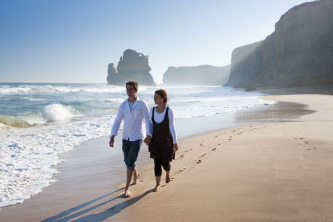 Autopia Tours - Accommodation Brunswick Heads 3