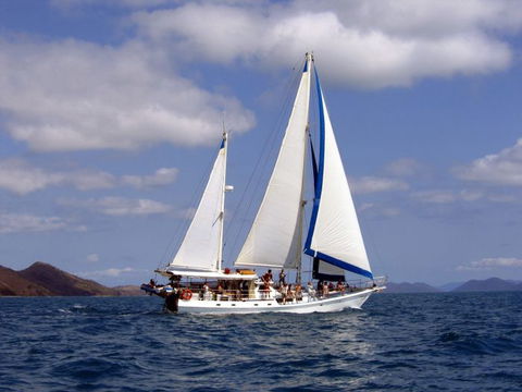 Adventure, Cruise, Dive And Outer Reef - Whitsundays Sailing Adventures - Accommodation Brunswick Heads 5