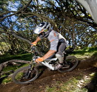 All Terrain Cycles - Accommodation Brunswick Heads