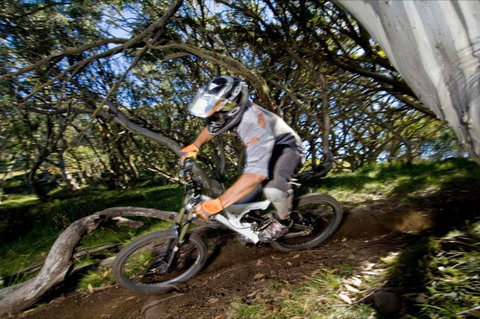 All Terrain Cycles - Accommodation Brunswick Heads 0