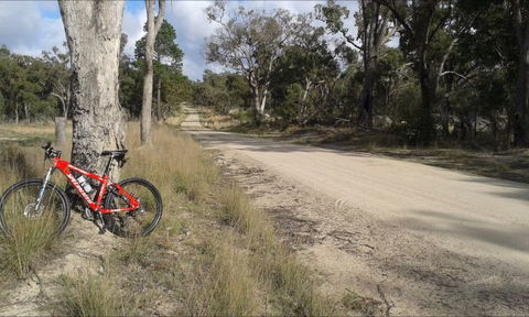 Granite Belt Bicycle Tours And Hire - Accommodation Brunswick Heads 5