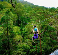 Canyon Flyer - Accommodation Brunswick Heads