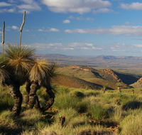 4WD Aussie Outback Adventures - Accommodation Brunswick Heads
