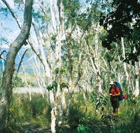 Thorsborne Trail Hinchinbrook Island National Park - Accommodation Brunswick Heads