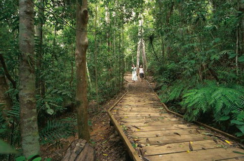 Lake Barrine Circuit Track, Crater Lakes National Park - Accommodation Brunswick Heads 1