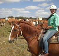 Myella Farm Stay Tours - Accommodation Brunswick Heads