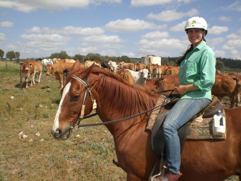 Myella Farm Stay Tours - Accommodation Brunswick Heads 0
