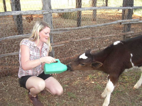 Myella Farm Stay Tours - Accommodation Brunswick Heads 1
