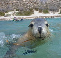 Calypso Star Charters - Accommodation Brunswick Heads
