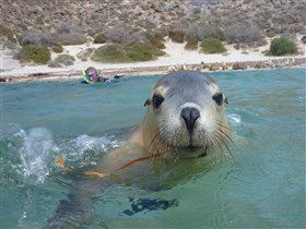 Calypso Star Charters - Accommodation Brunswick Heads 0