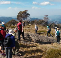 Hedonistic Hiking - Accommodation Brunswick Heads