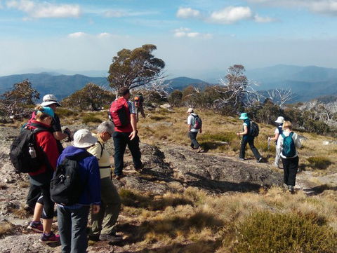 Hedonistic Hiking - Accommodation Brunswick Heads 0