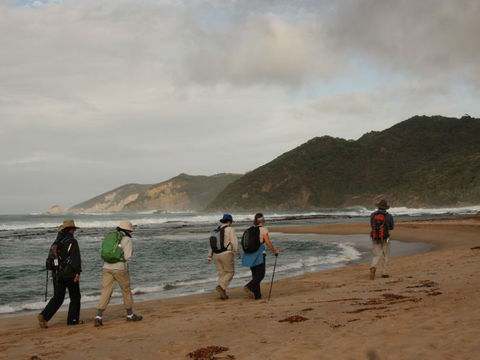 Hedonistic Hiking - Accommodation Brunswick Heads 2