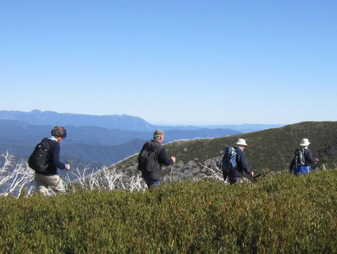 Hedonistic Hiking - Accommodation Brunswick Heads 4