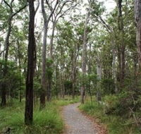 Caboolture Regional Environment Education Centre - Walking Trails - Accommodation Brunswick Heads