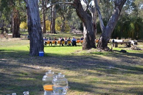 Glendale Citrus & Hazelnut Orchard - Accommodation Brunswick Heads 4