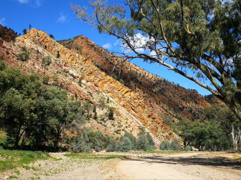 Aussie Heritage Tours - Accommodation Brunswick Heads 2
