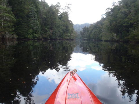 King River Rafting - Accommodation Brunswick Heads 1