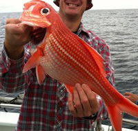 Goin' Off Safaris - Accommodation Brunswick Heads