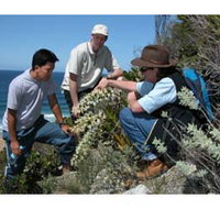 Sapphire Coast Ecotours - Accommodation Brunswick Heads